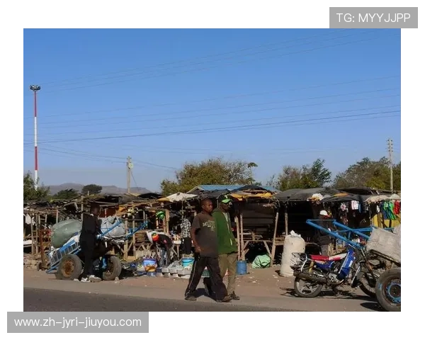 非洲足球远征之旅撒哈拉以南的绿茵传奇